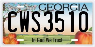 GA license plate CWS3510