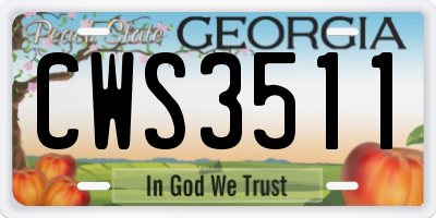 GA license plate CWS3511