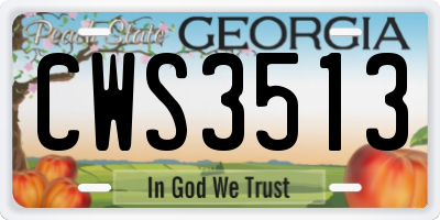GA license plate CWS3513