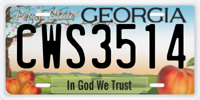 GA license plate CWS3514