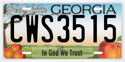 GA license plate CWS3515
