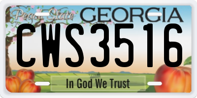 GA license plate CWS3516