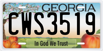 GA license plate CWS3519