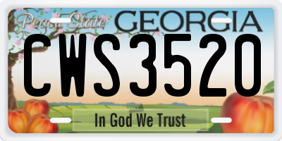 GA license plate CWS3520