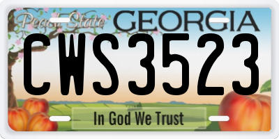GA license plate CWS3523