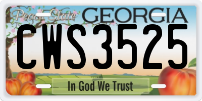 GA license plate CWS3525