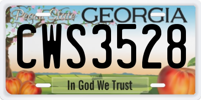 GA license plate CWS3528