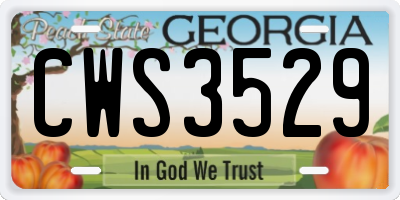 GA license plate CWS3529