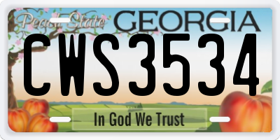 GA license plate CWS3534