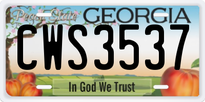 GA license plate CWS3537
