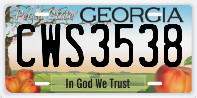 GA license plate CWS3538