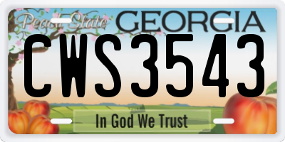GA license plate CWS3543
