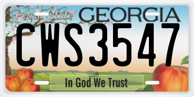 GA license plate CWS3547