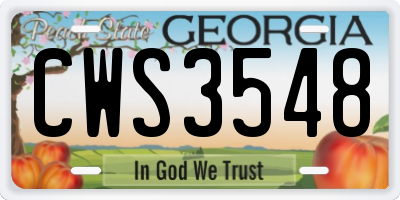 GA license plate CWS3548