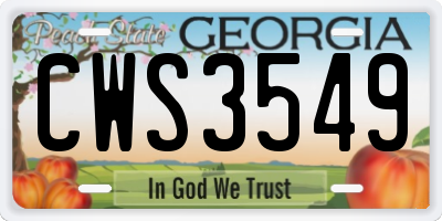 GA license plate CWS3549