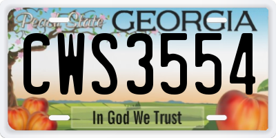 GA license plate CWS3554