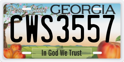 GA license plate CWS3557