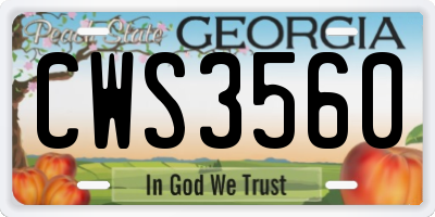 GA license plate CWS3560