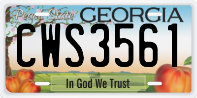 GA license plate CWS3561