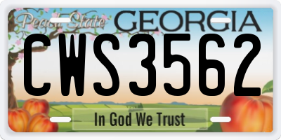 GA license plate CWS3562