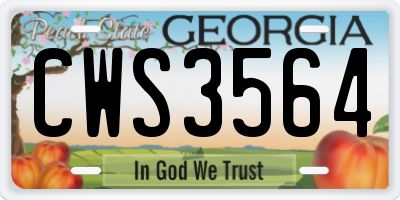 GA license plate CWS3564