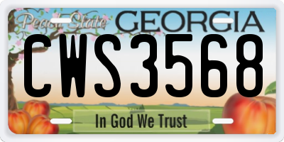 GA license plate CWS3568