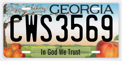 GA license plate CWS3569