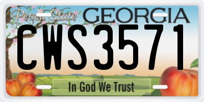 GA license plate CWS3571