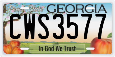GA license plate CWS3577