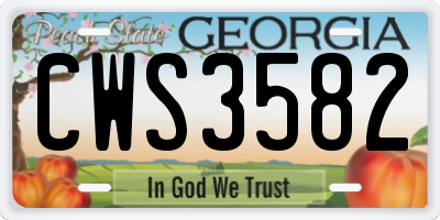 GA license plate CWS3582