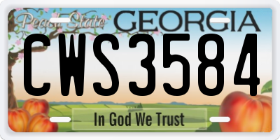GA license plate CWS3584