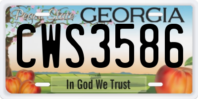 GA license plate CWS3586