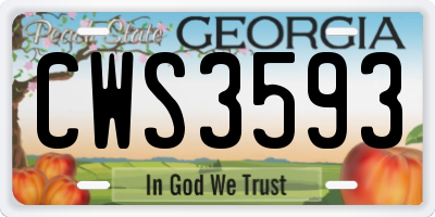 GA license plate CWS3593