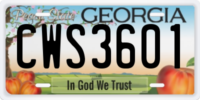 GA license plate CWS3601