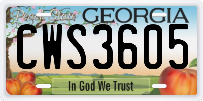 GA license plate CWS3605