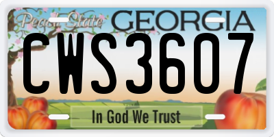 GA license plate CWS3607