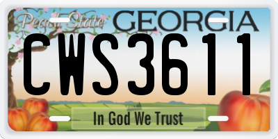 GA license plate CWS3611