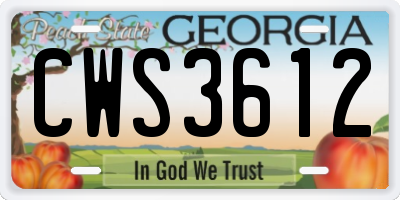 GA license plate CWS3612