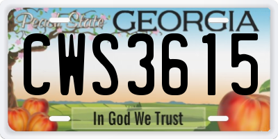 GA license plate CWS3615