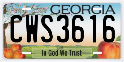 GA license plate CWS3616