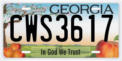 GA license plate CWS3617