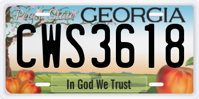 GA license plate CWS3618
