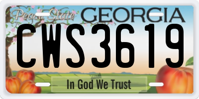 GA license plate CWS3619