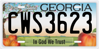 GA license plate CWS3623