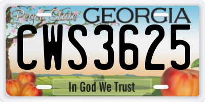 GA license plate CWS3625