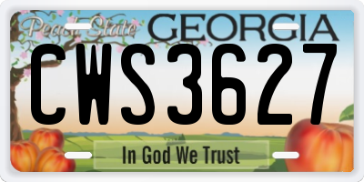 GA license plate CWS3627