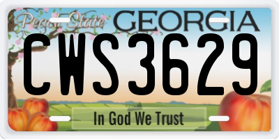 GA license plate CWS3629