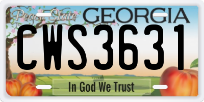 GA license plate CWS3631