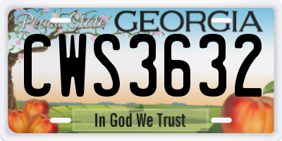 GA license plate CWS3632