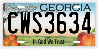 GA license plate CWS3634